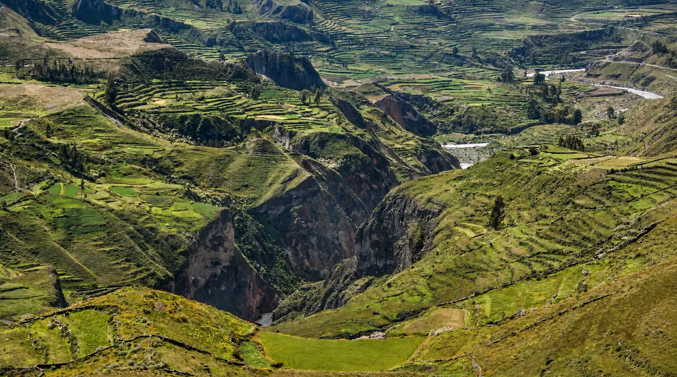 コルカ渓谷（Colca Canyon）