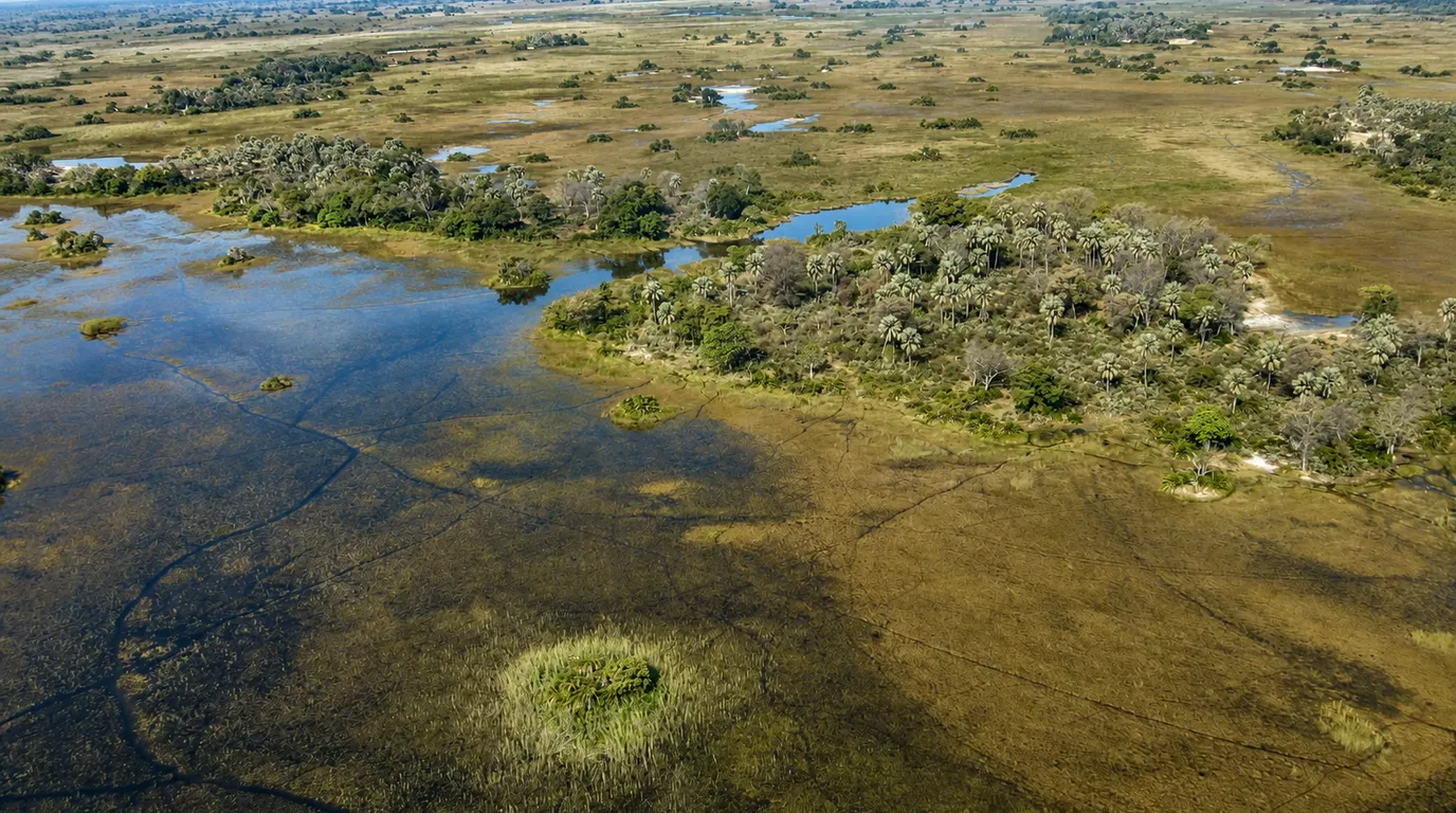 オカバンゴ・デルタ（Okavango Delta）